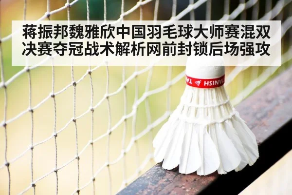 badminton net shot close up