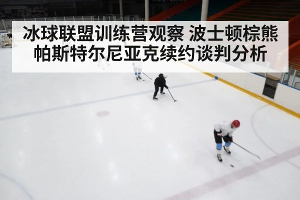冰球联盟训练营观察 波士顿棕熊帕斯特尔尼亚克续约谈判分析