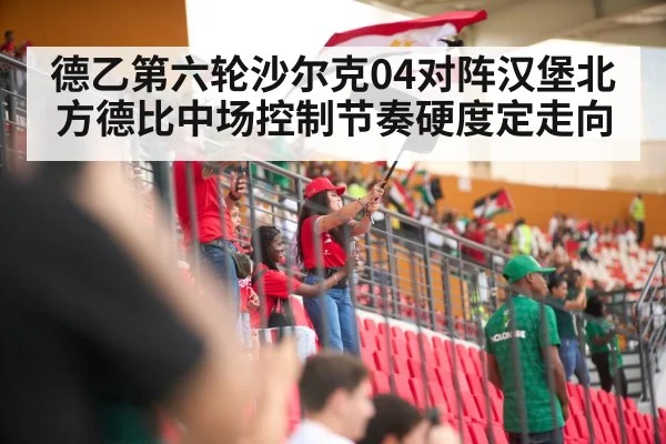 soccer stadium crowd
