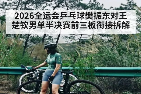 2026全运会乒乓球樊振东对王楚钦男单半决赛前三板衔接拆解（sofascore）
