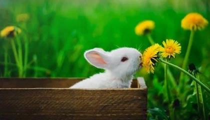 sofascore官网-曼城与瓜迪奥拉续约两年 新合同签至2023年